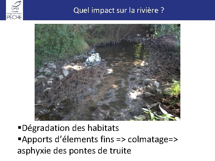 Impacts physiques. Quel impact sur la rivière ? §Dégradation des habitats §Apports d’élements fins