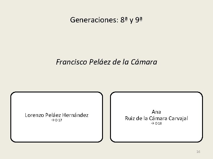 Generaciones: 8ª y 9ª Francisco Peláez de la Cámara Lorenzo Peláez Hernández D 17