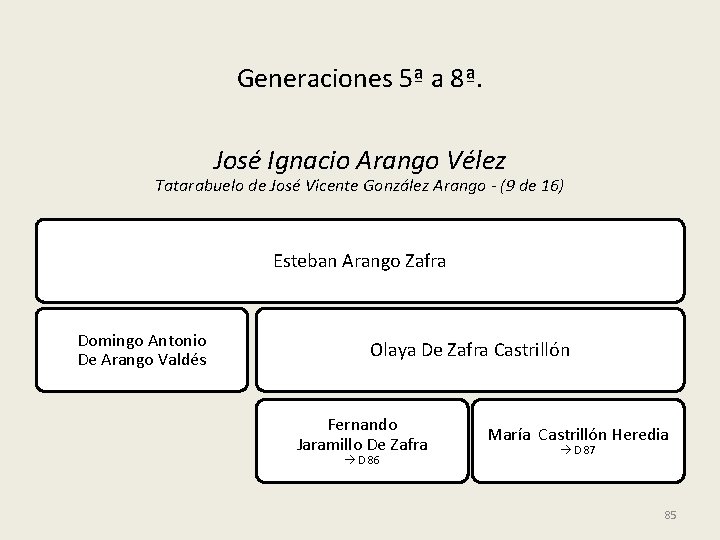 Generaciones 5ª a 8ª. José Ignacio Arango Vélez Tatarabuelo de José Vicente González Arango