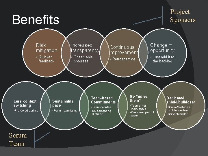 Project Sponsors Benefits Risk mitigation Increased transparency • Quicker feedback • Observable progress Less
