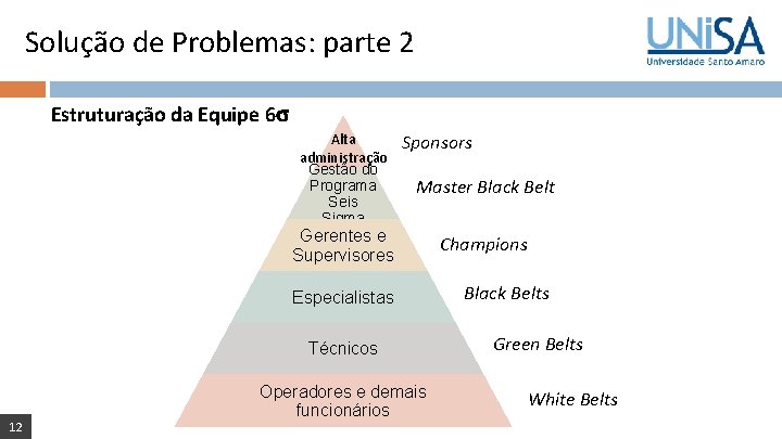 Solução de Problemas: parte 2 Estruturação da Equipe 6 Alta administração Gestão do Programa