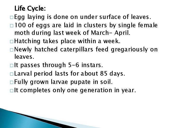 Life Cycle: � Egg laying is done on under surface of leaves. � 100