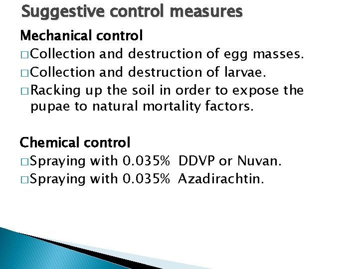 Suggestive control measures Mechanical control � Collection and destruction of egg masses. � Collection
