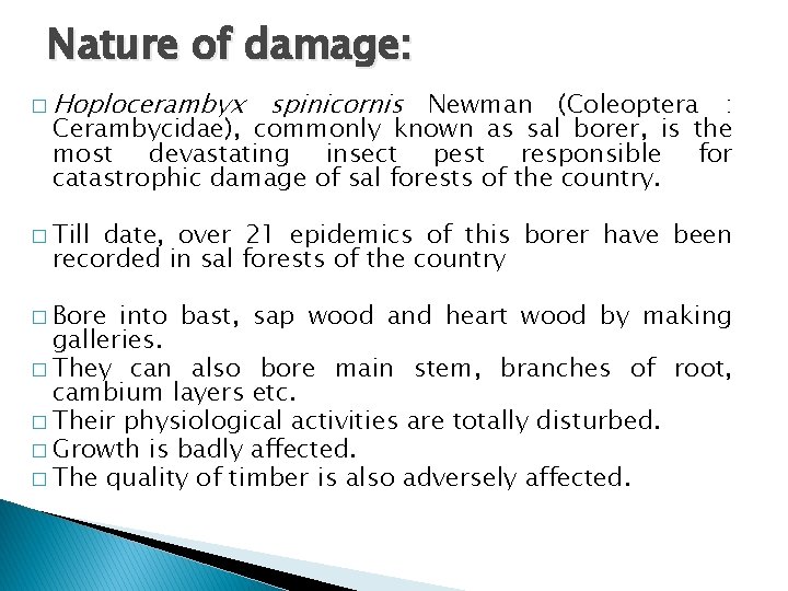 Nature of damage: � Hoplocerambyx spinicornis Newman (Coleoptera : Cerambycidae), commonly known as sal