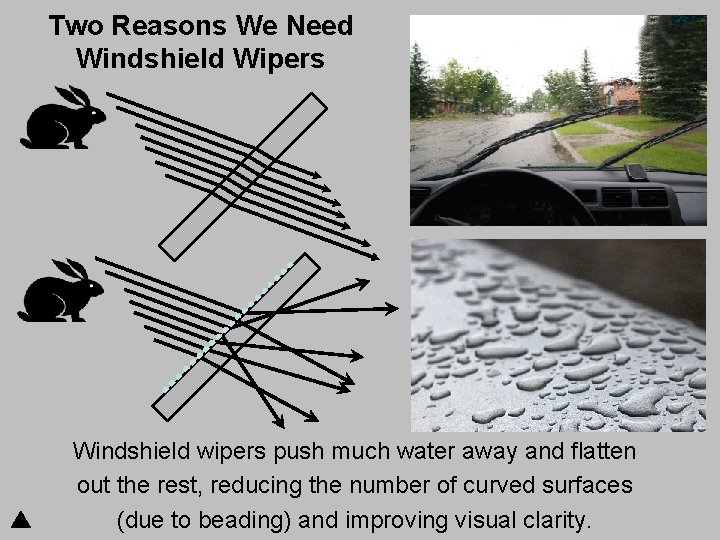 Two Reasons We Need Windshield Wipers Windshield wipers push much water away and flatten