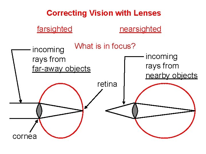 Correcting Vision with Lenses farsighted nearsighted incoming What is in focus? rays from far-away