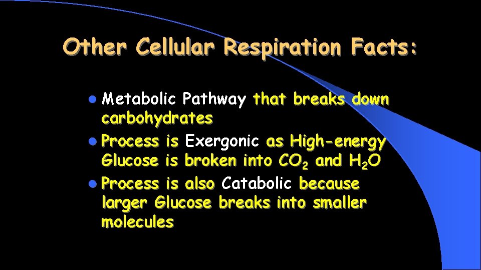 Other Cellular Respiration Facts: l Metabolic Pathway that breaks down carbohydrates l Process is