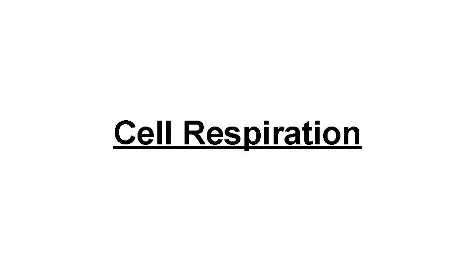 Cell Respiration 