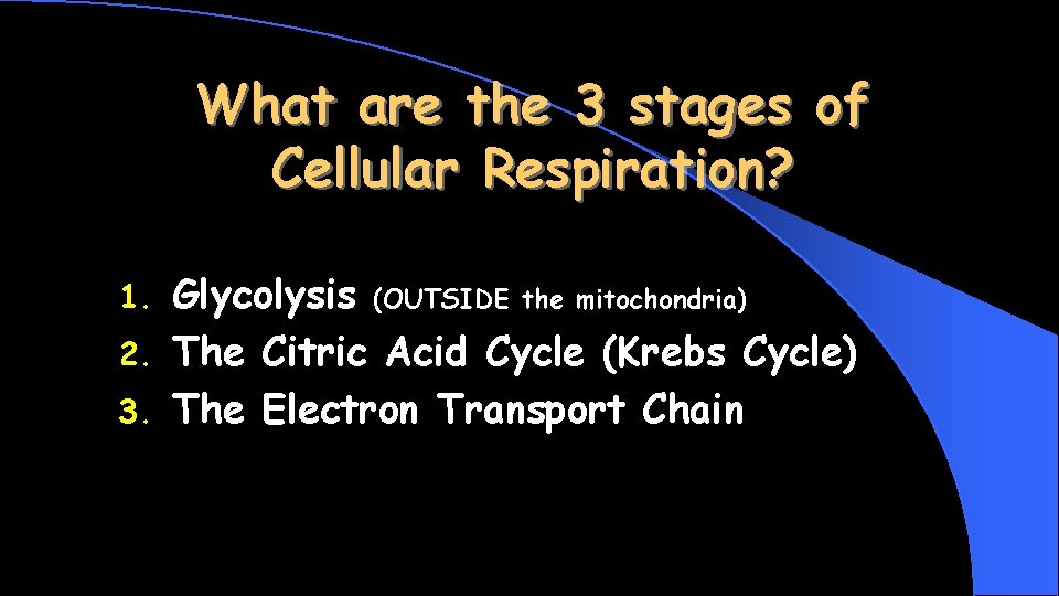 What are the 3 stages of Cellular Respiration? 1. 2. 3. Glycolysis (OUTSIDE the