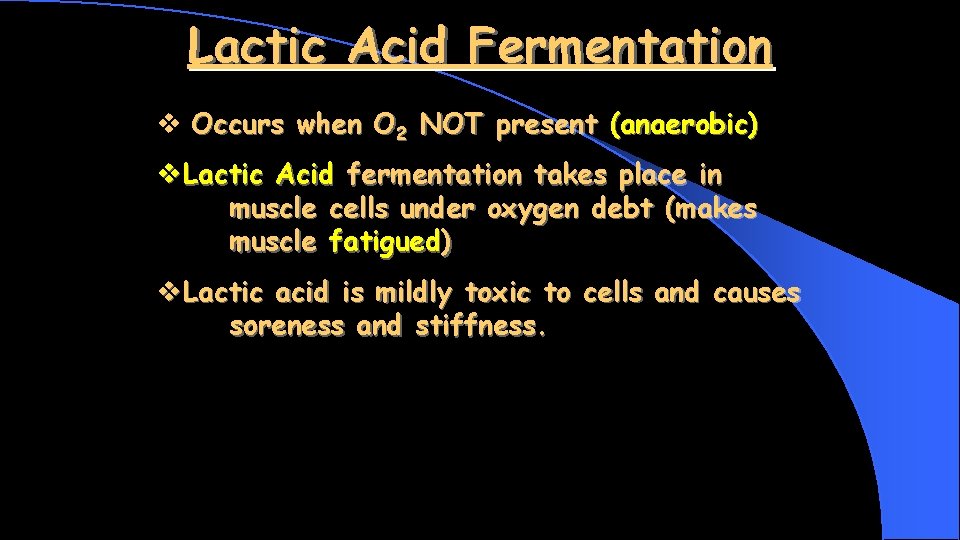 Lactic Acid Fermentation v Occurs when O 2 NOT present (anaerobic) v. Lactic Acid