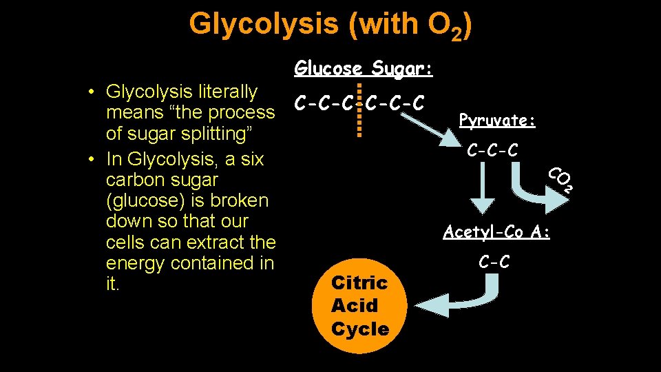 Glycolysis (with O 2) Stage 1: Glycolysis Glucose Sugar: • Glycolysis literally C-C-C-C means
