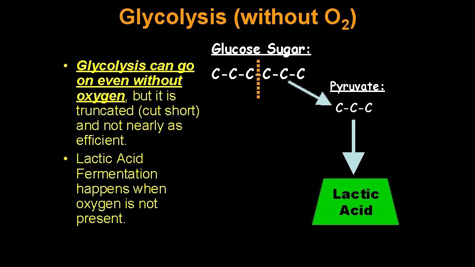 Glycolysis (without O 2) Stage 1: Glycolysis Glucose Sugar: • Glycolysis can go C-C-C-C