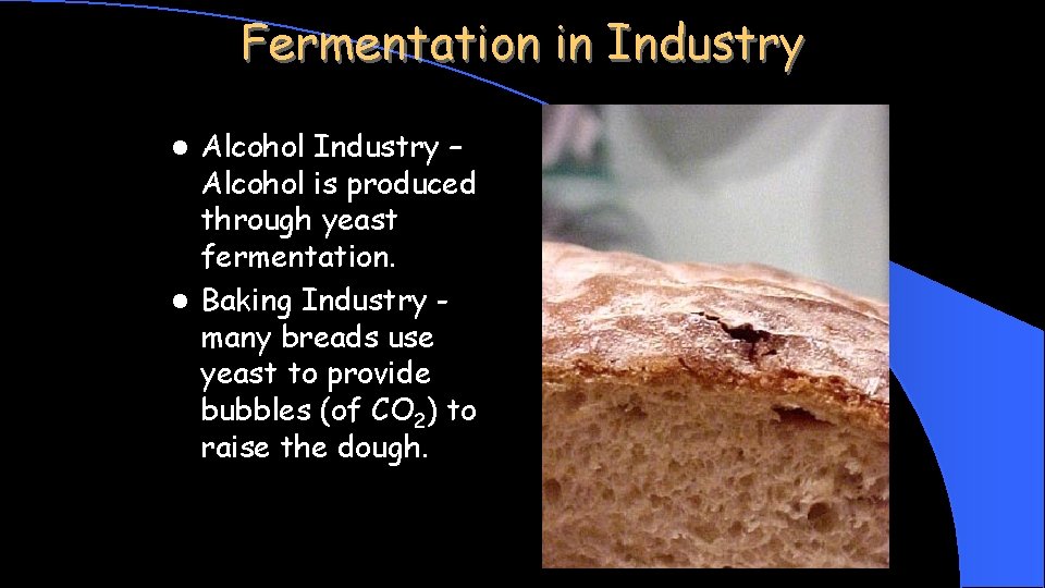 Fermentation in Industry Alcohol Industry – Alcohol is produced through yeast fermentation. l Baking