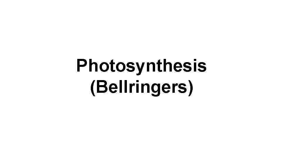 Photosynthesis (Bellringers) 