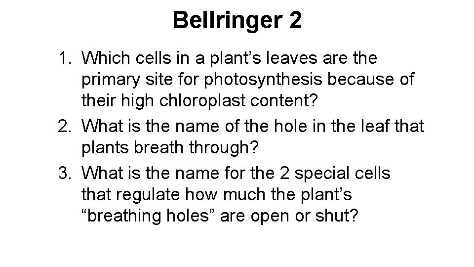 Bellringer 2 1. Which cells in a plant’s leaves are the primary site for