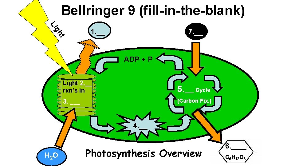 Bellringer 9 (fill-in-the-blank) t gh Li 1. __ 7. __ ADP + P Light