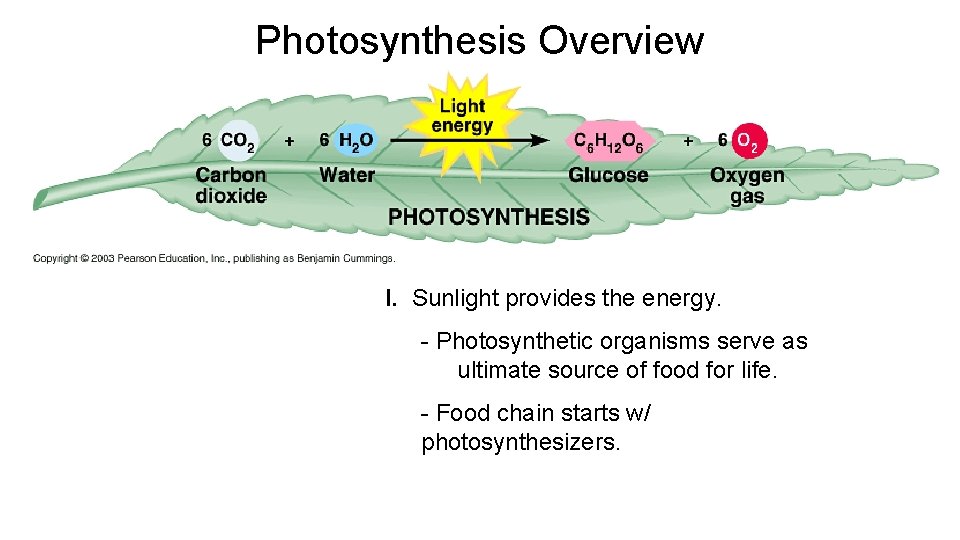 Photosynthesis Overview I. Sunlight provides the energy. - Photosynthetic organisms serve as ultimate source