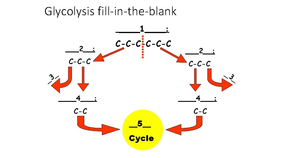 Glycolysis fill-in-the-blank ____1____: ___2__: C-C-C-C ___2__: C-C-C _ 3 _ ____4___: C-C __5__ Cycle