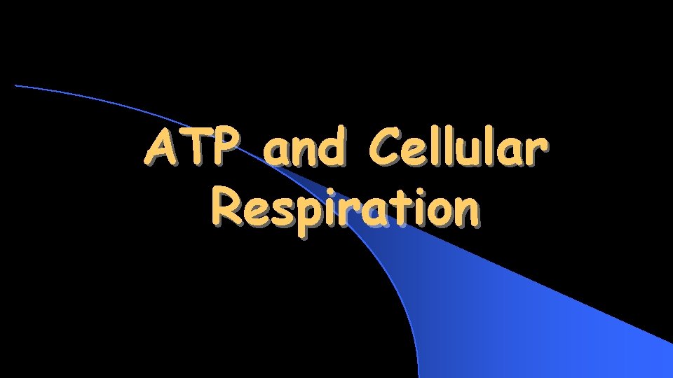 ATP and Cellular Respiration 