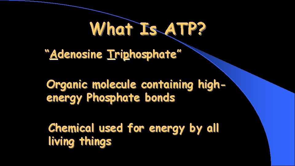What Is ATP? “Adenosine Triphosphate” Organic molecule containing highenergy Phosphate bonds Chemical used for