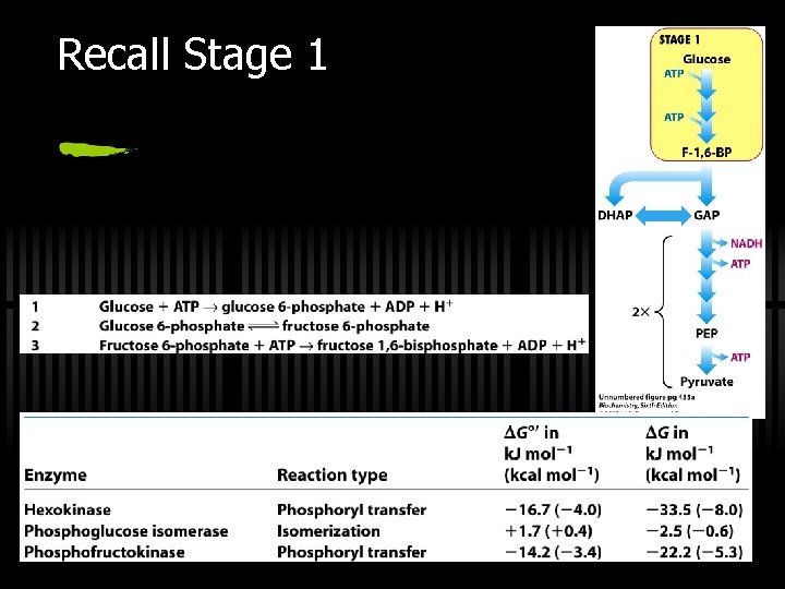 Recall Stage 1 