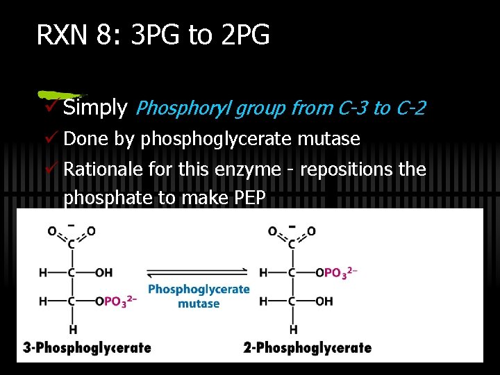 RXN 8: 3 PG to 2 PG ü Simply Phosphoryl group from C-3 to