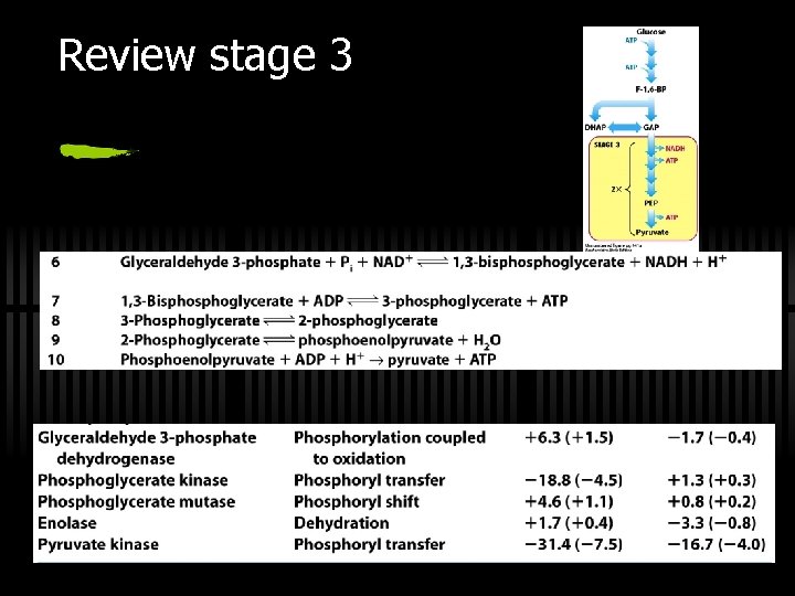 Review stage 3 