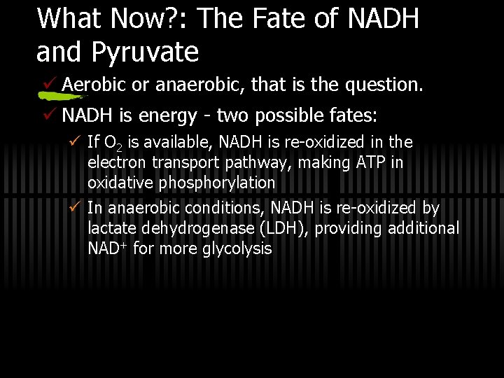What Now? : The Fate of NADH and Pyruvate ü Aerobic or anaerobic, that
