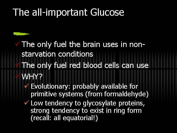 The all-important Glucose ü The only fuel the brain uses in nonstarvation conditions ü