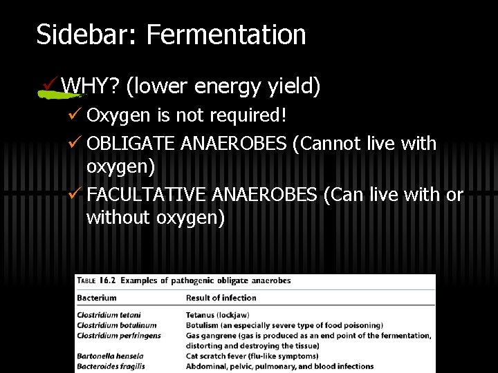 Sidebar: Fermentation ü WHY? (lower energy yield) ü Oxygen is not required! ü OBLIGATE