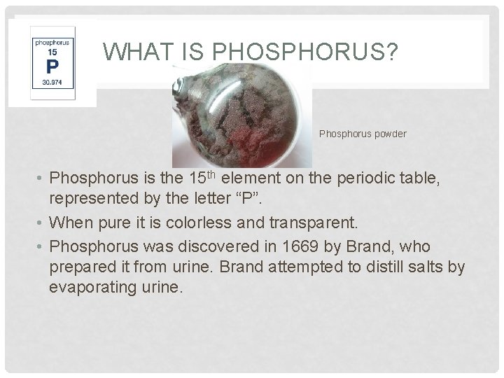 WHAT IS PHOSPHORUS? Phosphorus powder • Phosphorus is the 15 th element on the