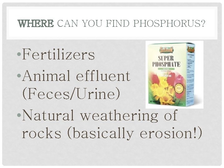 WHERE CAN YOU FIND PHOSPHORUS? • Fertilizers • Animal effluent (Feces/Urine) • Natural weathering
