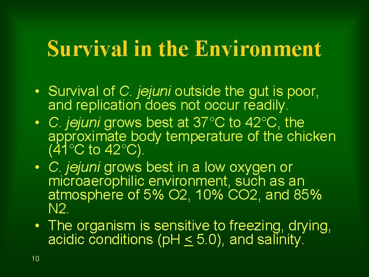 Survival in the Environment • Survival of C. jejuni outside the gut is poor,