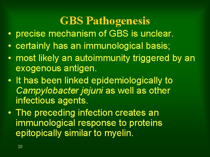 GBS Pathogenesis • precise mechanism of GBS is unclear. • certainly has an immunological