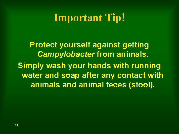 Important Tip! Protect yourself against getting Campylobacter from animals. Simply wash your hands with