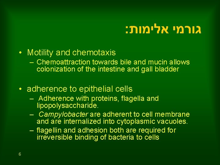 : גורמי אלימות • Motility and chemotaxis – Chemoattraction towards bile and mucin allows