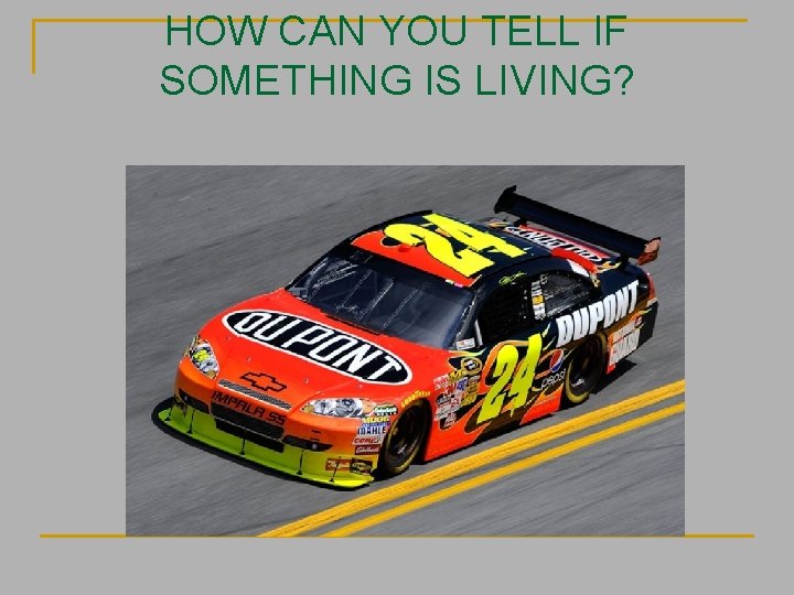 HOW CAN YOU TELL IF SOMETHING IS LIVING? 