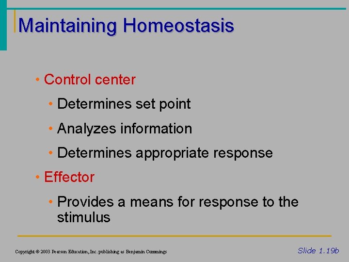 Maintaining Homeostasis • Control center • Determines set point • Analyzes information • Determines