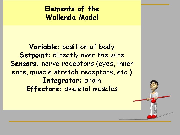 Elements of the Wallenda Model Variable: position of body Setpoint: directly over the wire