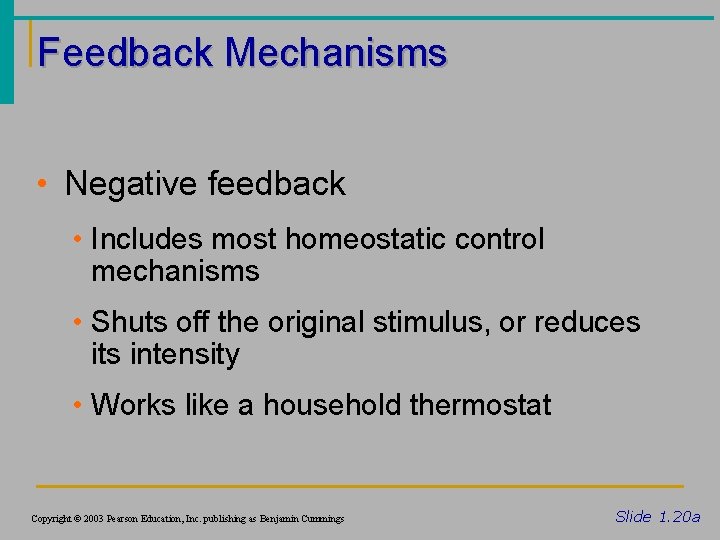 Feedback Mechanisms • Negative feedback • Includes most homeostatic control mechanisms • Shuts off