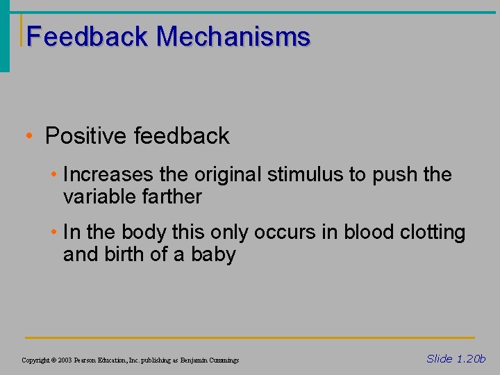 Feedback Mechanisms • Positive feedback • Increases the original stimulus to push the variable