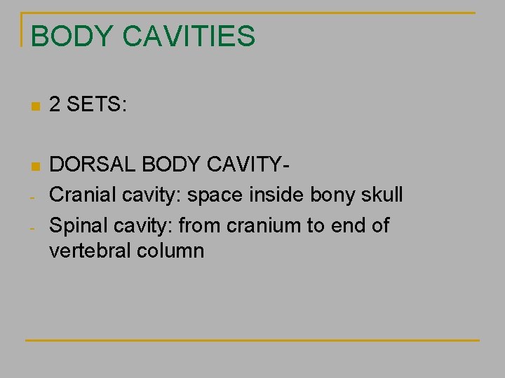 BODY CAVITIES n 2 SETS: n DORSAL BODY CAVITYCranial cavity: space inside bony skull