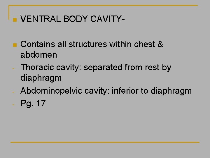 n VENTRAL BODY CAVITY- n Contains all structures within chest & abdomen Thoracic cavity: