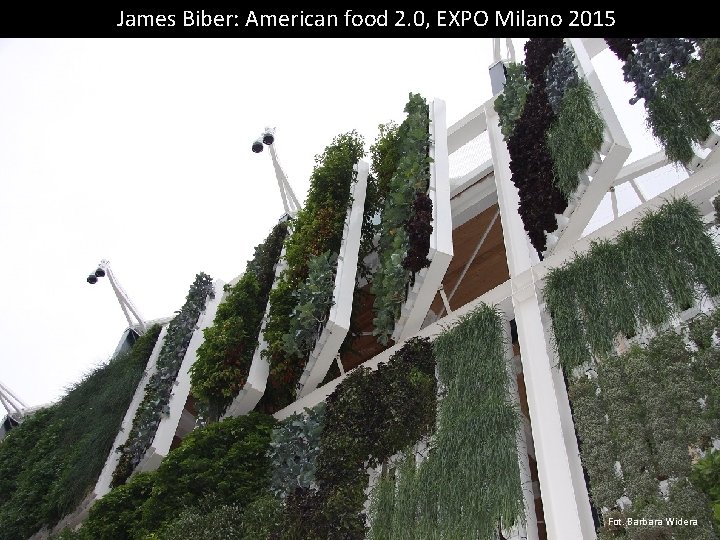 James Biber: American food 2. 0, EXPO Milano 2015 Fot. Barbara Widera 
