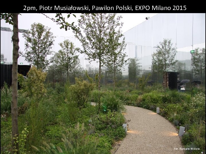 2 pm, Piotr Musiałowski, Pawilon Polski, EXPO Milano 2015 Fot. Barbara Widera 