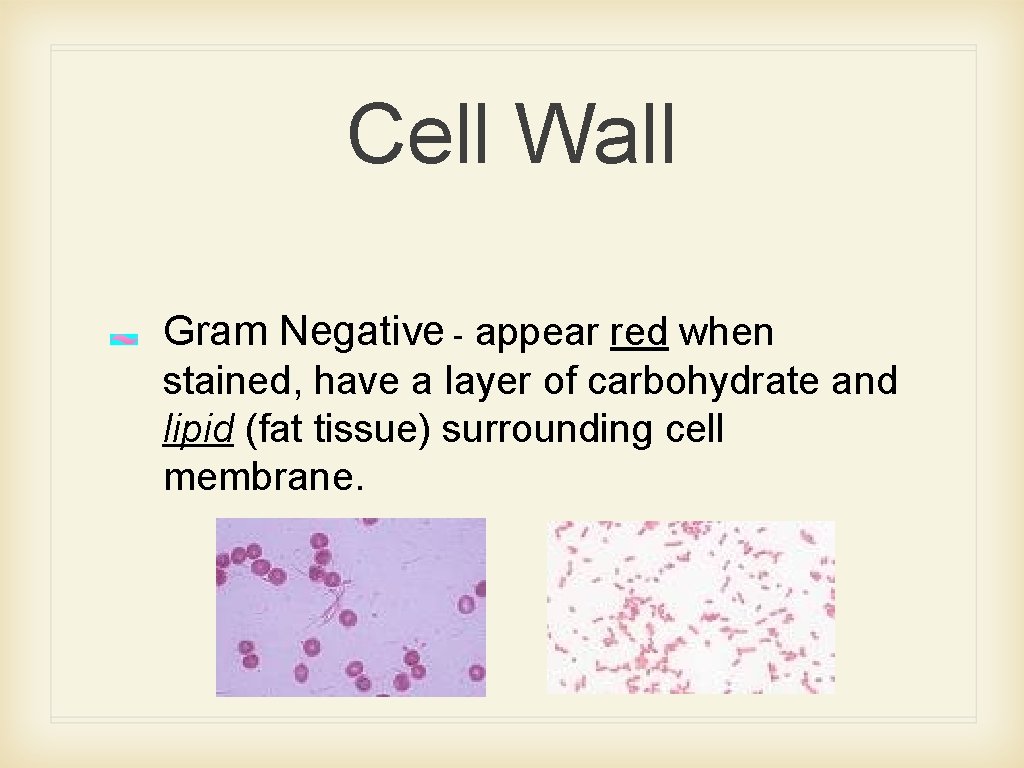 Cell Wall Gram Negative - appear red when stained, have a layer of carbohydrate