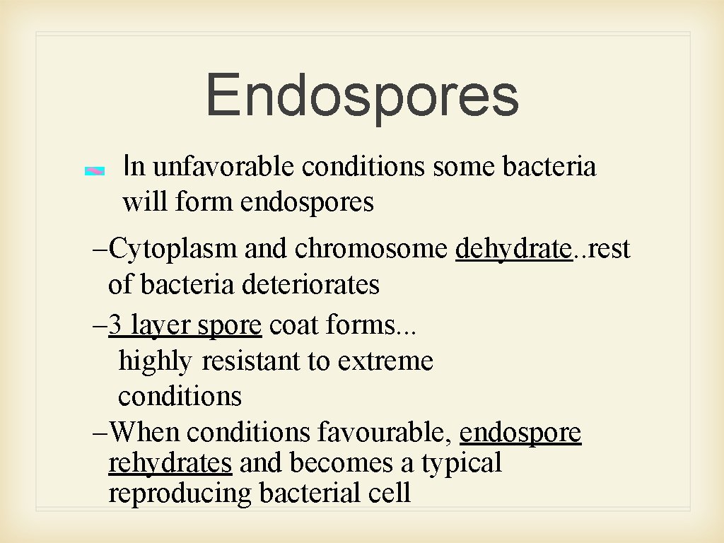 Endospores In unfavorable conditions some bacteria will form endospores –Cytoplasm and chromosome dehydrate. .