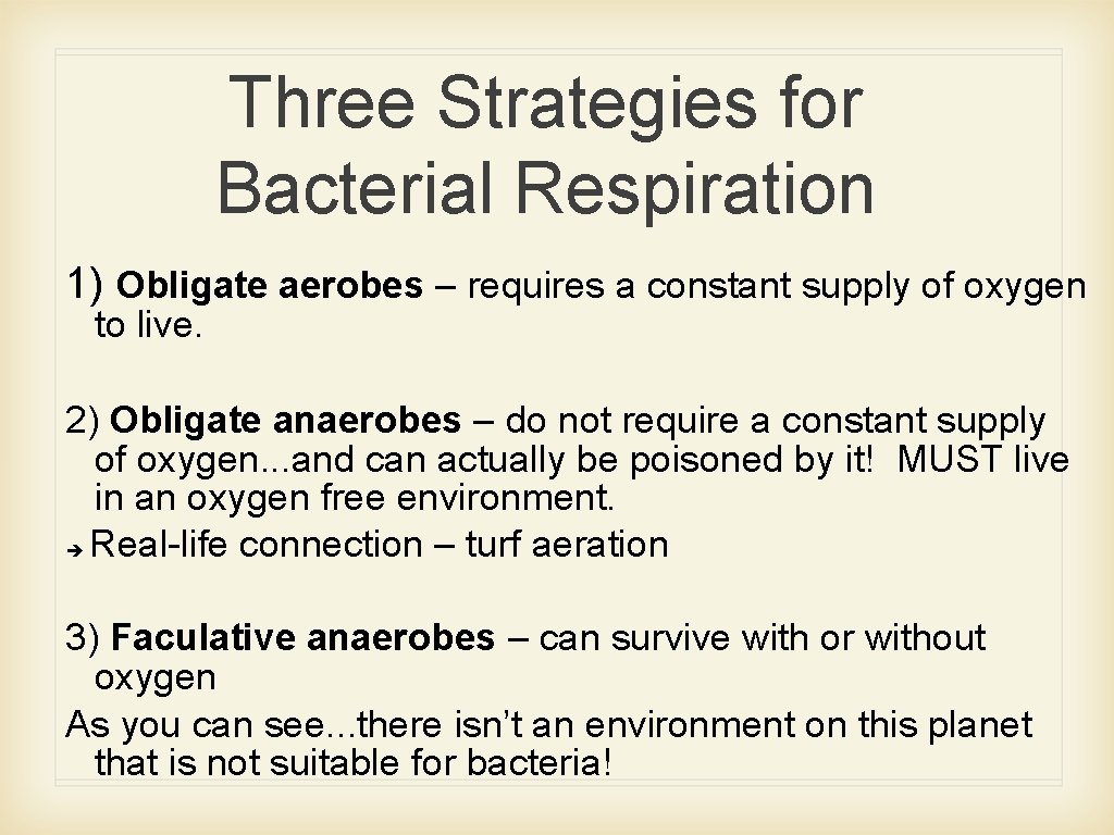 Three Strategies for Bacterial Respiration 1) Obligate aerobes – requires a constant supply of