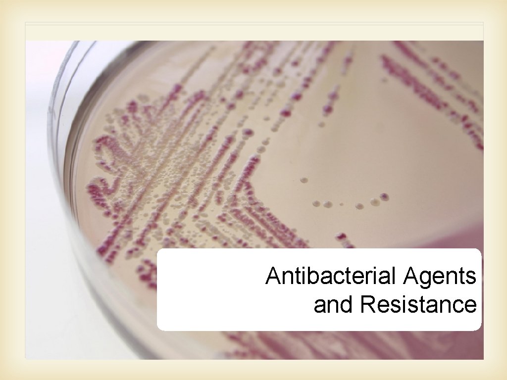 Antibacterial Agents and Resistance 