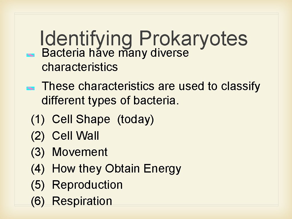 Identifying Prokaryotes Bacteria have many diverse characteristics These characteristics are used to classify different